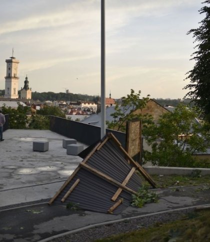 Сотні повалених дерев та масове знеструмлення: наслідки грози на Львівщині