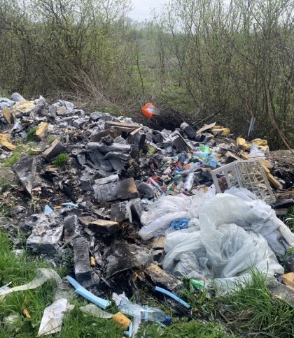 Шини та гори сміття: у семи громадах Львівщини виявили стихійні сміттєзвалища (фото)