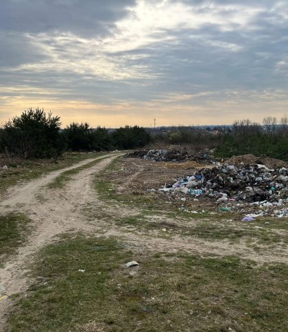 Довкола саме сміття: на Яворівщині виявили стихійні сміттєзвалища