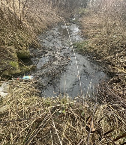 Держекоінспекція встановлює причетних до забруднення нечистотами каналу в Брюховичах