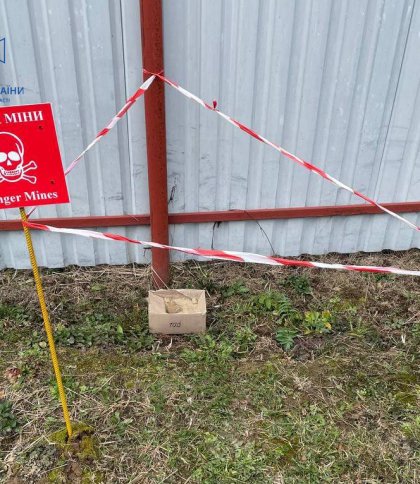 Сортували картоплю і знайшли гранату: у селі Самбірського району виявили небезпечну знахідку