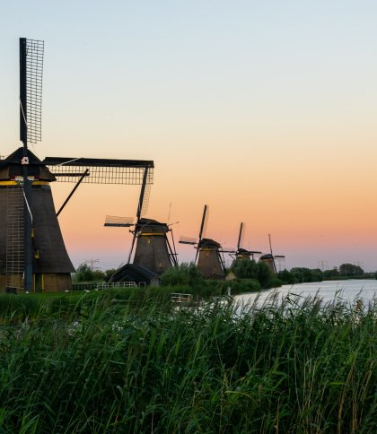 Нідерланди виділяють 100 млн євро Україні на підтримку фермерів 