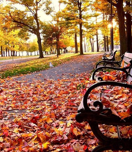 На Львівщині 29 жовтня синоптики прогнозують сильний вітер та дощ