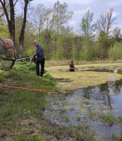 У львівському парку «Знесіння» чистять ставок: у чому складність та особливість робіт