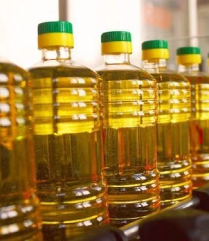 Україна та Польща збудують трубопровід для транспорту олії