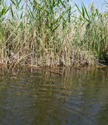 Поліція встановлює обставини загибелі знайденого в водоймі чоловіка на Львівщині