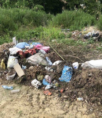 Гірше свиней: на Львівщині екоінспектори виявили сміттєзвалища, які залишили люди