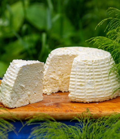 Адигейський сир у домашніх умовах: покроковий рецепт