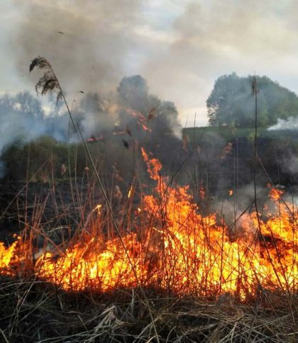 На Яворівщині внаслідок пожежі сухостою загинув 76-річний чоловік