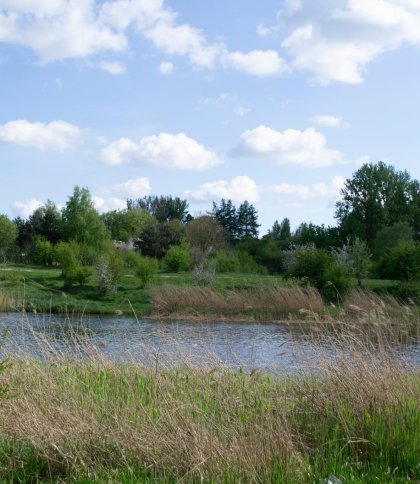 Львівські депутати підтримали створення двох нових природоохоронних зон