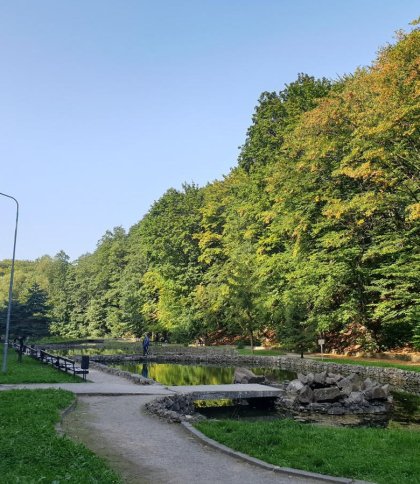 У парку "Погулянка" відремонтують відсівні доріжки за понад 200 тисяч гривень