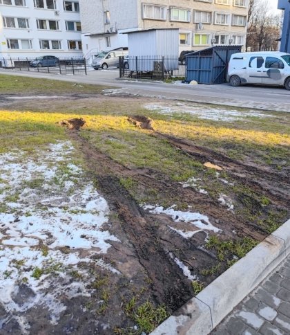 Має за це заплатити: львів’ян обурила поведінка водійки, яка знищила газон на вулиці Володимира Великого
