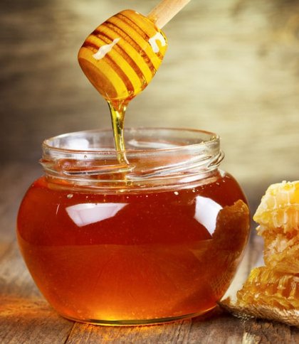 55-річний мешканець Львівщини обдурив пасічників і привласнив понад пів тонни меду