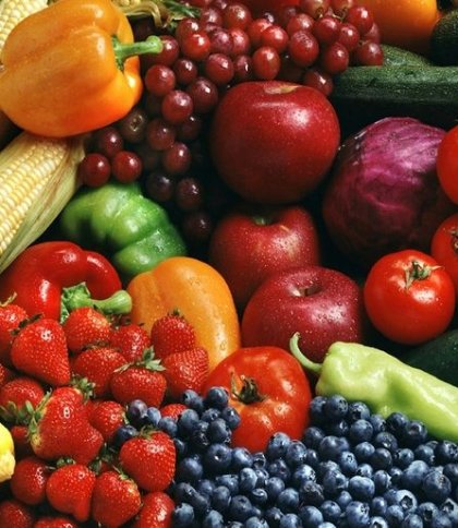 Харчові ризики влітку: як не нашкодити своєму здоров'ю зіпсованими продуктами — поради