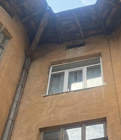Львів’янин скаржиться на голубів, які руйнують фасад будинку