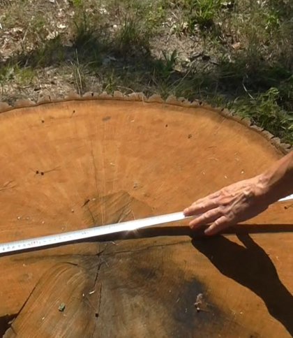 Лопатинській громаді виплатили відшкодування в розмірі майже 1 мільйон гривень