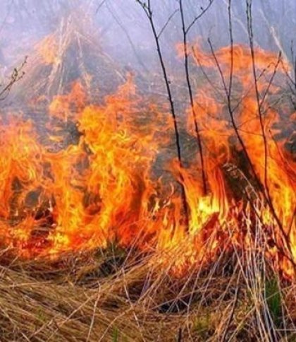 За минулу добу рятувальники Львівщини ліквідували 4 пожежі сухої трави