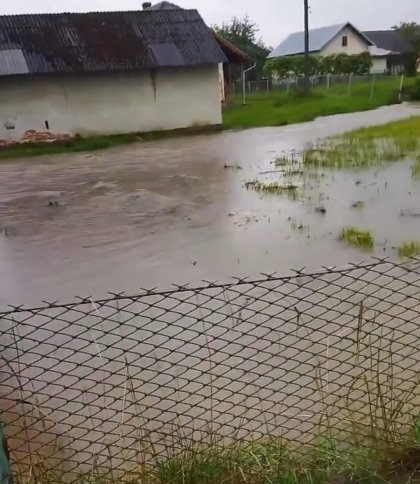 Підтоплені дороги, подвір’я та городи: негода наробила лиха на Дрогобиччині (відео, фото) 