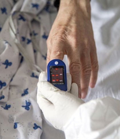 66-річна жінка зі Стрийщини потрапила до реанімації через важку форму лептоспірозу