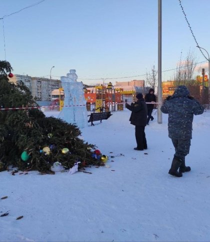В Росії за добу впали 4 новорічні ялинки: постраждали двоє людей
