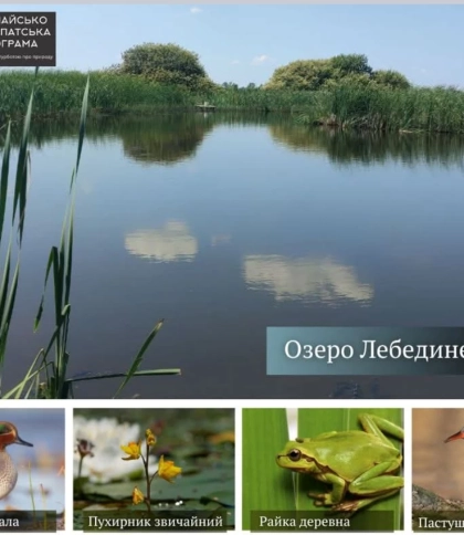У Щирецькій громаді створять ландшафтний заказник “Озеро Лебедине”