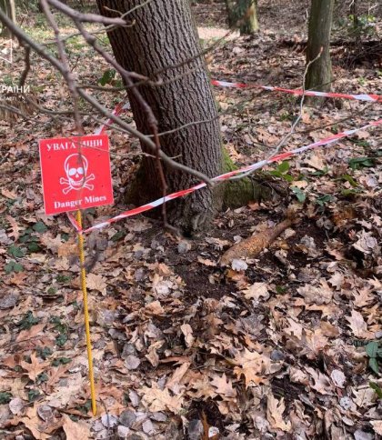 У Самбірському районі на прогулянці в лісі знайшли боєприпас часів Другої світової
