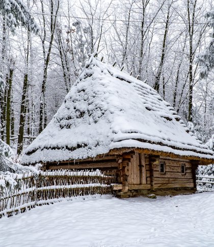 Зима у Шевченківському гаю: краєвиди та події