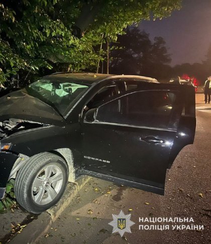 У Брюховичах п’яна водійка протаранила шлагбаум та врізалась у дерево