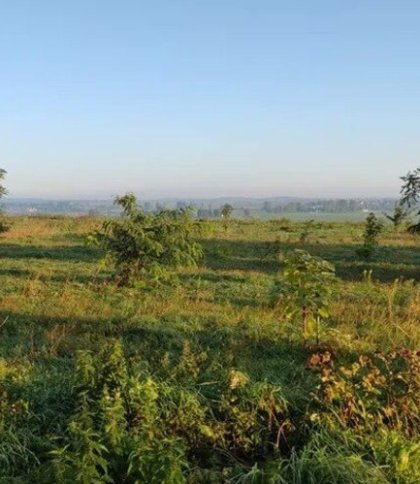 У Львівській громаді продали земельних ділянок на 18,2 млн грн
