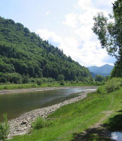 На Стрийщині розслідують незаконну передачу земель у прибережній смузі