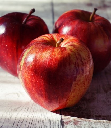 Що приготувати з яблук: три рецепти на кожен день