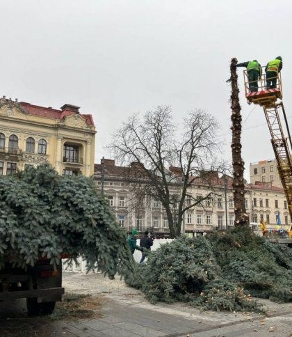 У Львові демонтували головну міську ялинку (відео)