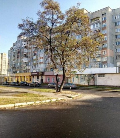 Стрибала по чужих авто і облаяла поліцію: штраф мешканці Червонограда