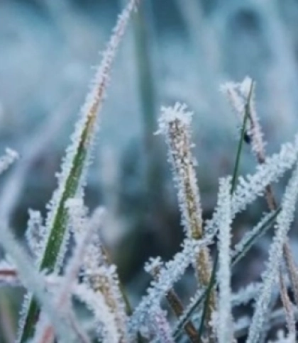 На Львівщині 15 грудня синоптики прогнозують ожеледицю на дорогах на мороз вночі