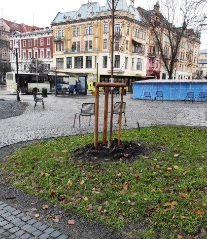 Урбаністи показали, як облаштовують фонтан на площі Галицькій в центрі Львова (фото)