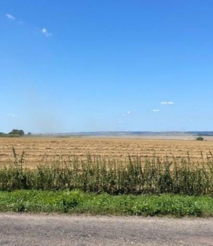 Збитки 13 млн грн на Львівщині: деталі справи про продаж зерна