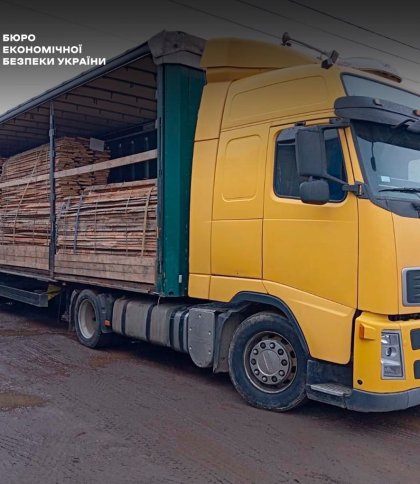 Незаконне вивезення лісоматеріалів за кордон на Львівщині