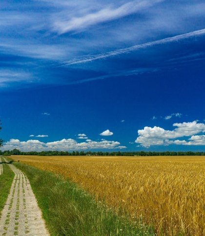 Середня вартість гектара на Львівщині майже вдвічі перевищує ціну по Україні