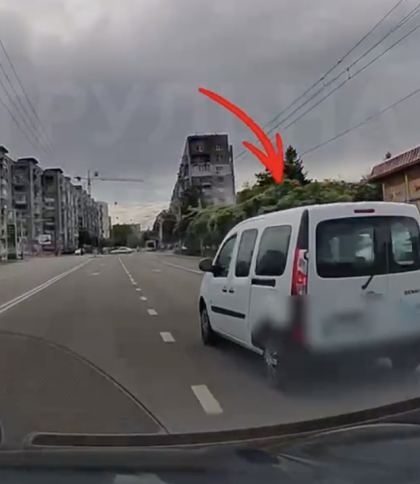 У Львові небайдужа зняла на відео три різні порушення: патрульні оштрафували водія