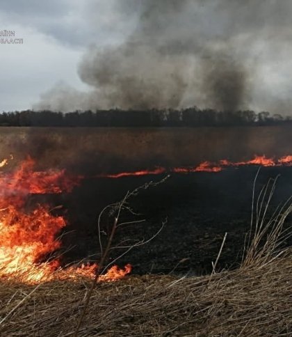 За добу на Львівщині загасили три пожежі сухої трави