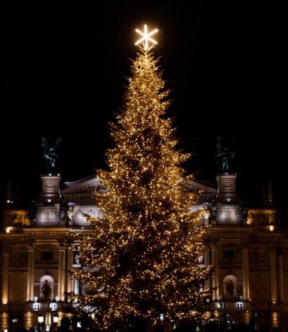 Мерія отримала 15 заявок від охочих подарувати головну ялинку місту