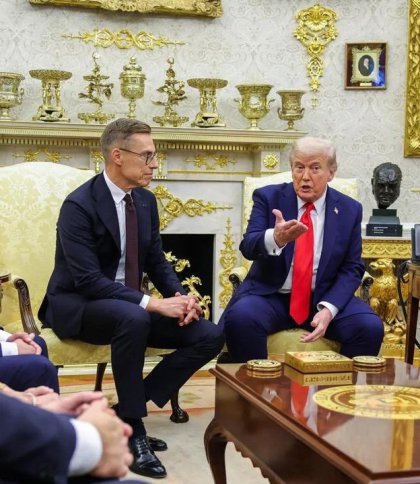 Під покровом асертивності