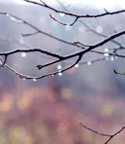 Прогноз погоди у Львові та області 4 грудня: туман, хмарно