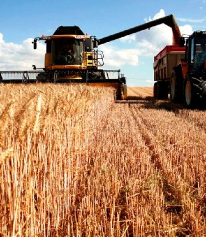 Польські фермери невдоволені якістю українського зерна: вони повідомили про свої вимоги