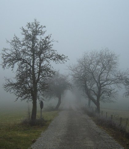 На Львівщині 3 грудня синоптики прогнозують погіршення видимості через туман