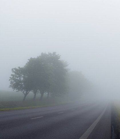 У Львові та області синоптики на 21 жовтня прогнозують густий туман
