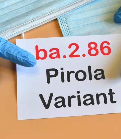 В Україні зафіксували випадки нового субваріанту коронавірусу – Pirola
