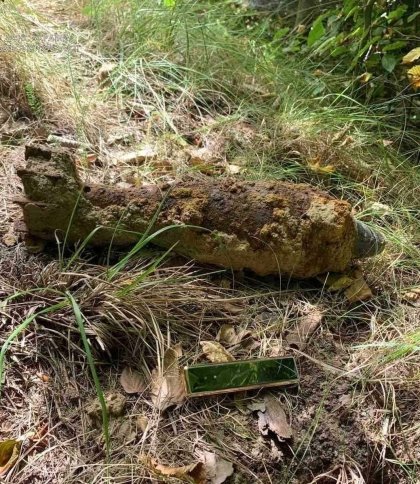 На Львівщині у трьох районах під час збирання грибів знайшли застарілі боєприпаси