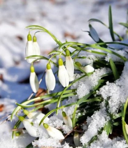 Зима продовжується: якою буде погода 6 березня на Львівщині