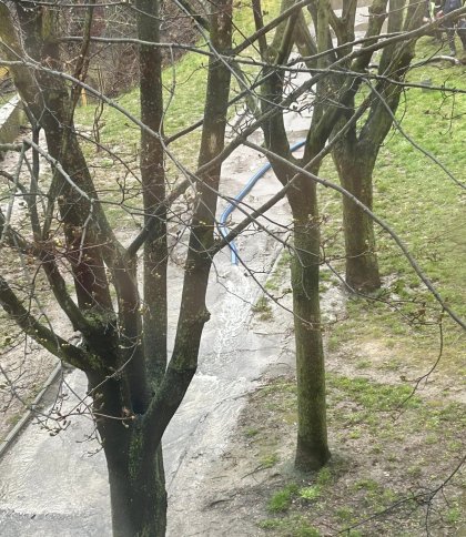 Комунальники у Львові зливають воду з каналізації на тротуари
